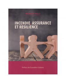 Incendie, Assurance et résilience - 1