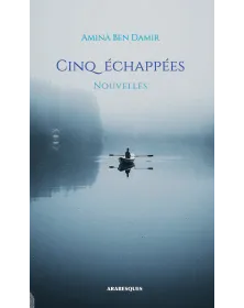 Cinq échappées - Amina Ben Damir - 1